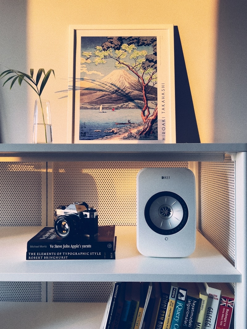 a bookshelf with books, a camera and a picture on top of it
